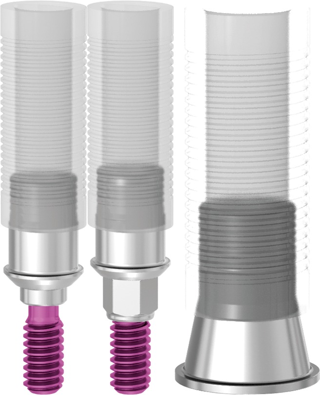 Cobalt-Chrome Abutment