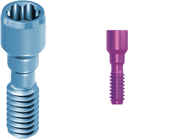 Prosthetic Screw