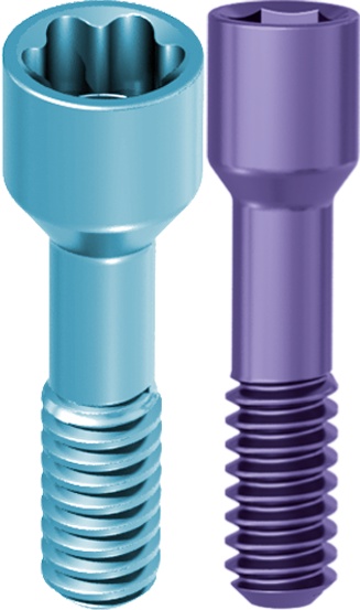 Prosthetic Screw