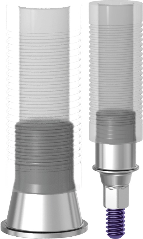 Cobalt-Chrome Abutment