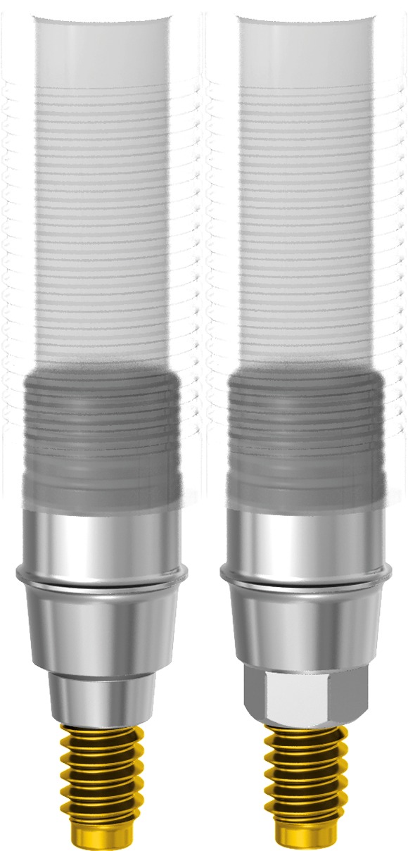 Cobalt-Chrome Abutment