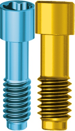 Prosthetic Screw