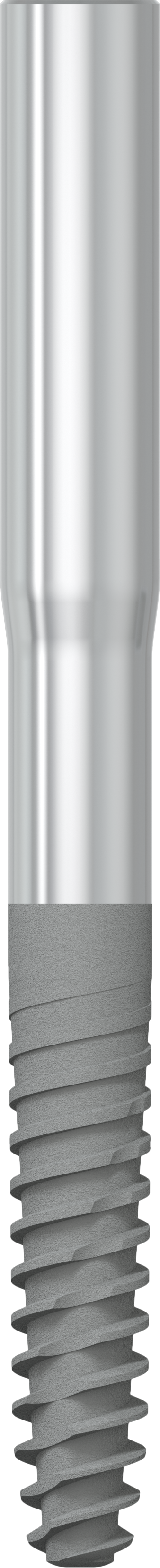 JDZygoma Ø 3.9 L 42.5