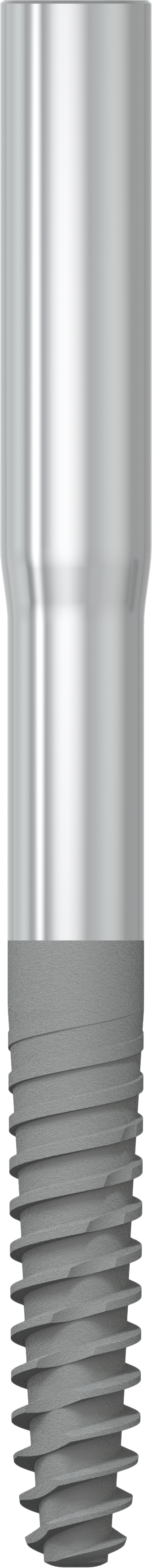 JDZygoma Ø 3.9 L 45