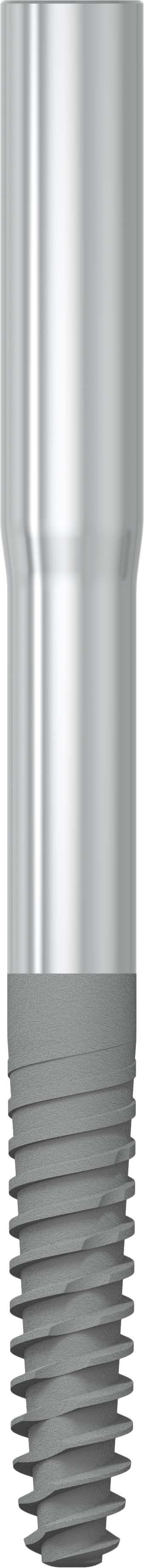 JDZygoma Ø 3.9 L 47.5