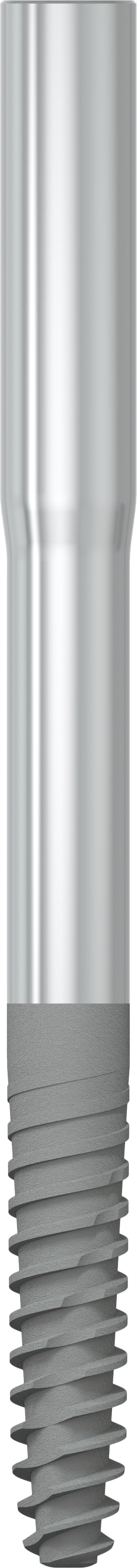JDZygoma Ø 3.9 L 50