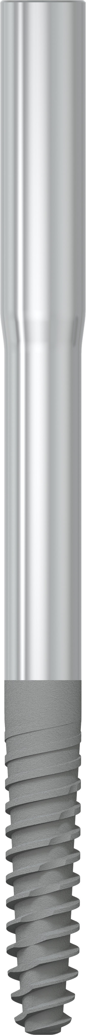 JDZygoma Ø 3.9 L 52.5