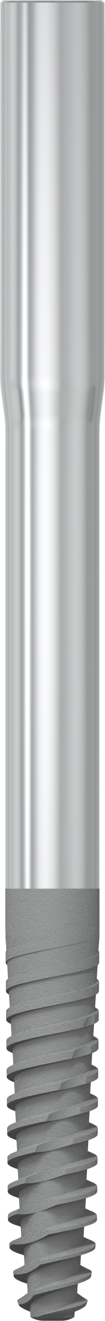 JDZygoma Ø 3.9 L 55