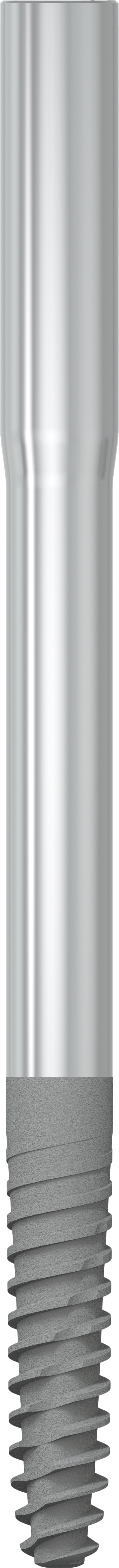 JDZygoma Ø 3.9 L 57.5