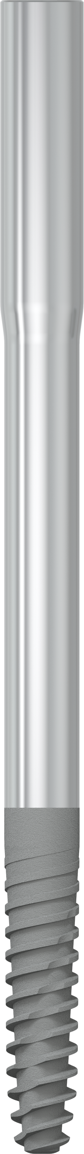 JDZygoma Ø 3.9 L 60