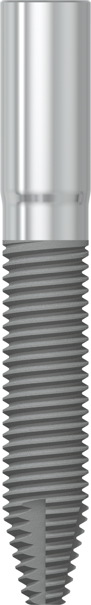 JDZygoma Ø 4.3 L 30