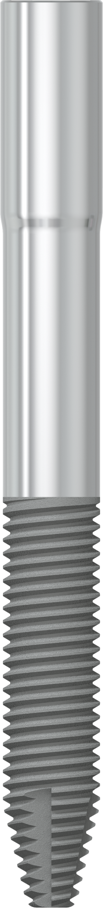 JDZygoma Ø 4.3 L 40