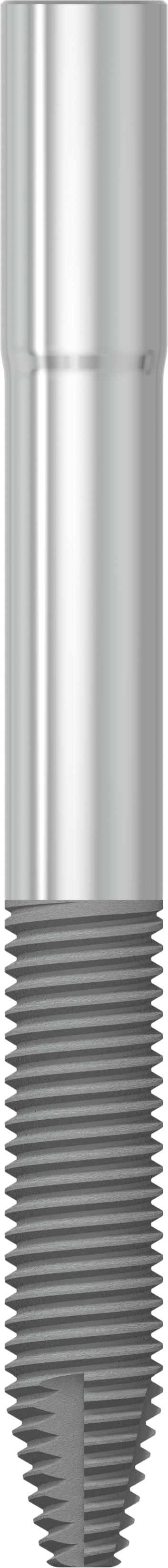 JDZygoma Ø 4.3 L 42.5