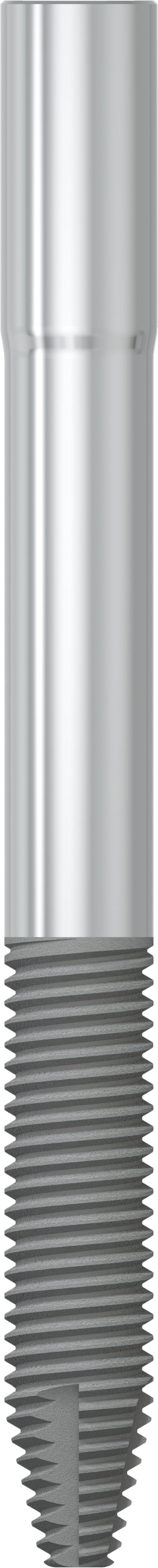 JDZygoma Ø 4.3 L 45