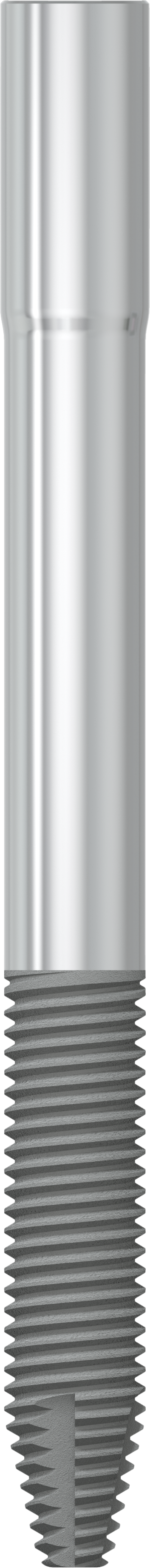 JDZygoma Ø 4.3 L 47.5