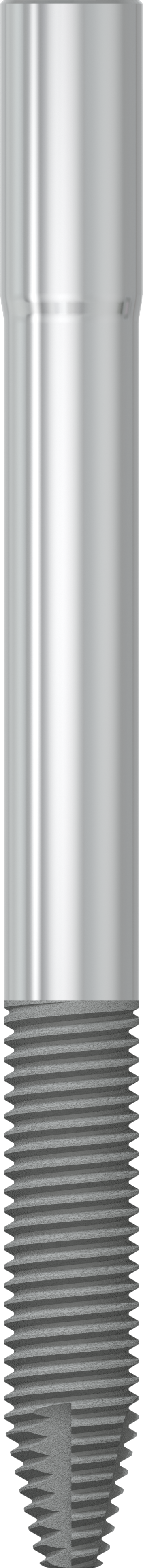 JDZygoma Ø 4.3 L 50