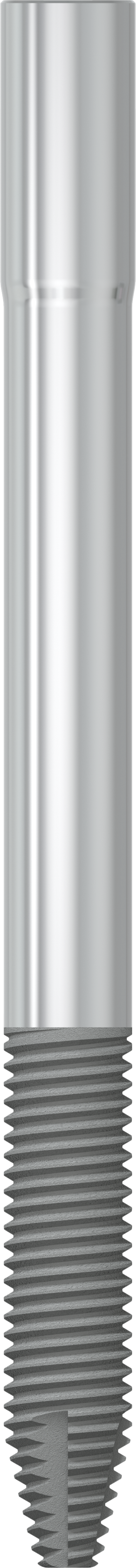 JDZygoma Ø 4.3 L 52.5