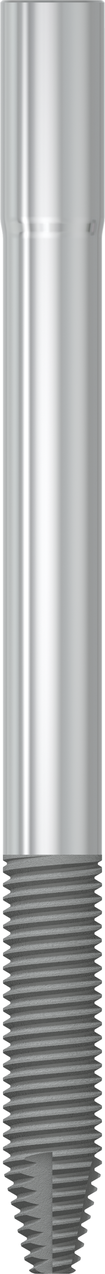 JDZygoma Ø 4.3 L 55