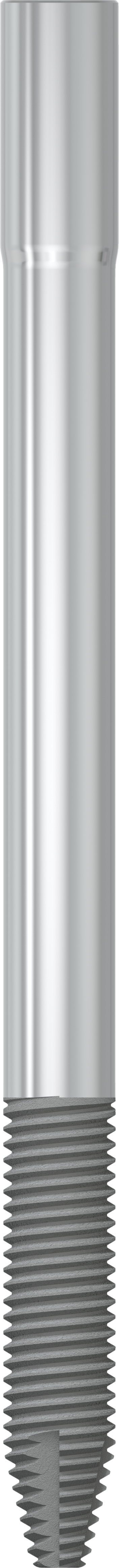 JDZygoma Ø 4.3 L 60